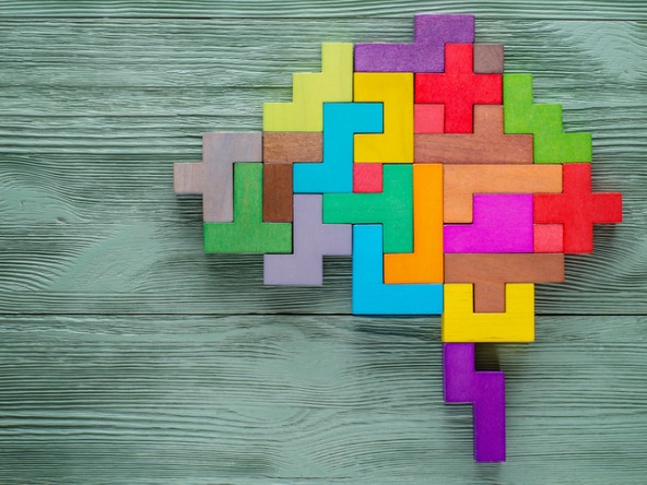 Human brain made of wooden colourful blocks